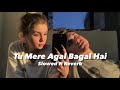 Tu Mere Agal Bagal Hai Slowed N Reverb