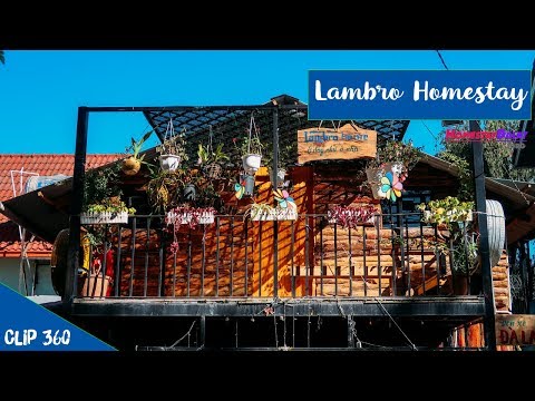 Lambro Homestay Đà Lạt | Video 360 độ nội thất và view