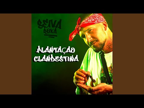Plantação Clandestina
