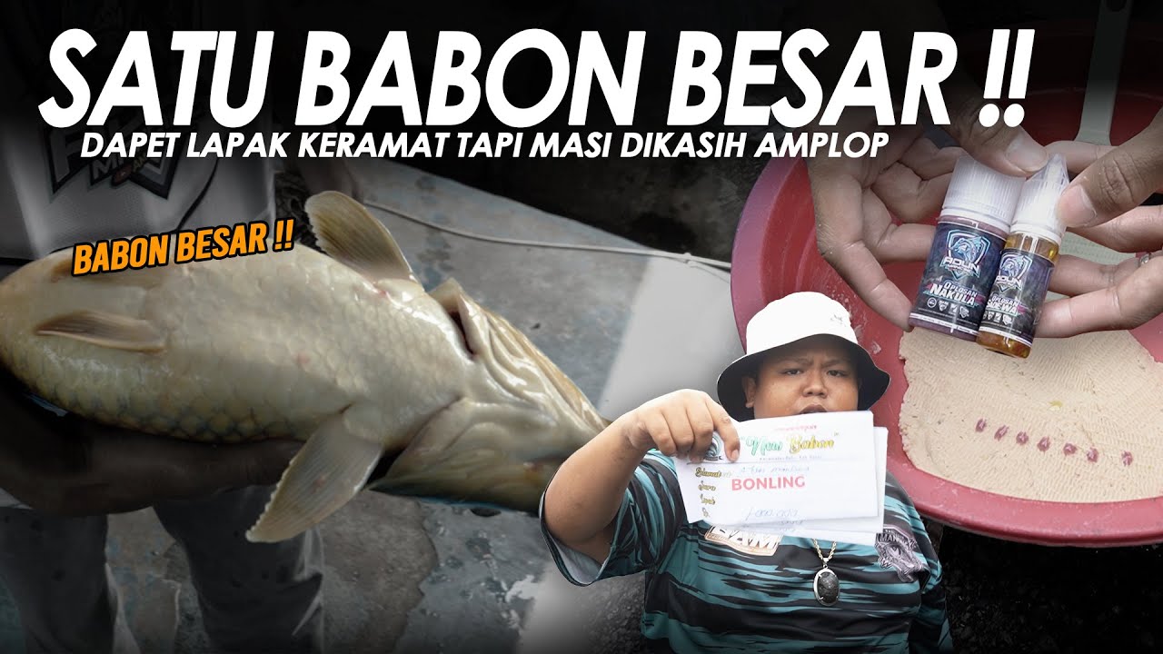 LULUS UJI DI LAPAK ANGKER !! SATU BABON BESAR TAKLUK PAKE UMPAN VIRAL