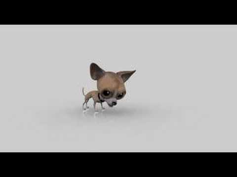 Chihuahua