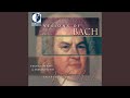 Was mir behagt, ist nur die muntre Jagd, BWV 208, "Hunt Cantata": Sheep May Safely Graze (arr....