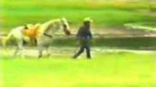 bronco.... mal Amor..