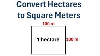 How to Convert Hectares to Square Meters