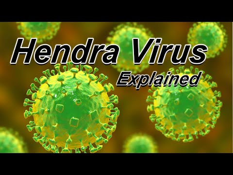 Hendra Virus Project