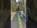 Walk In The Forest Forest Calming Forestwalk