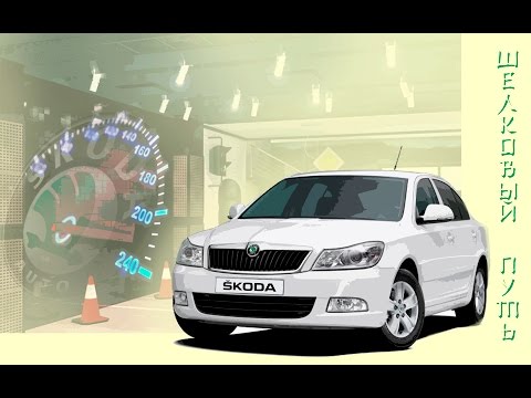 ВидеоДневник Skoda Octavia A5. Светодиодные лампы в габариты. Какие лампы не стоит брать в Китае.