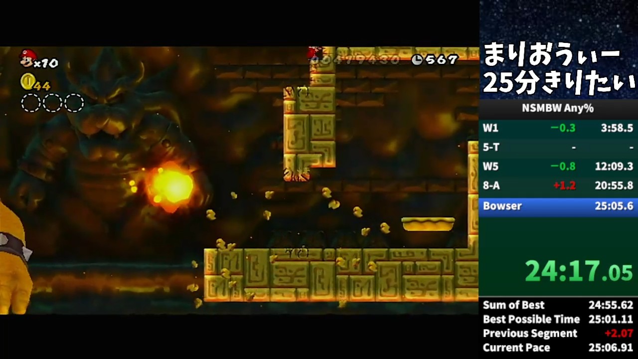 【25分切り!】NewマリWii Any% 24:55 / NSMBW Speedrun Any%