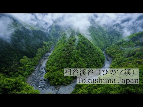 深山に刻まれた絶景の渓谷美/ひの字渓谷　Hi no Ji Valley: Spectacular gorge scenery carved into the deep mountains