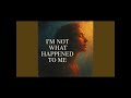 Good Vibes Tribe  11:11 -  I'm not what happened to me (432 hertz)