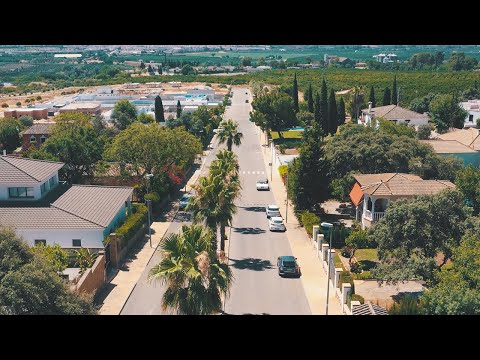 Baboon Prophecy & Virtus - New Disco Reggae [Evidence Music]