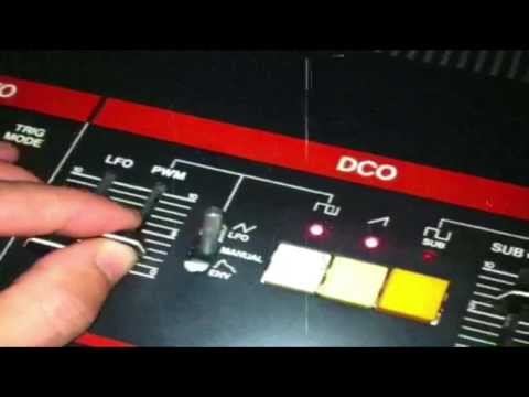 Things We Forgot To Say