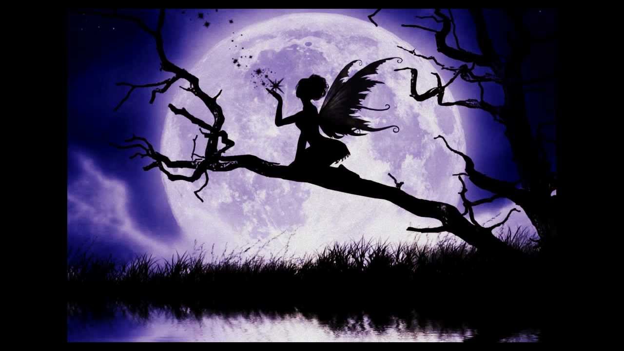 Srpsko-francusko venčanje — video