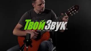 Video thumbnail for Washburn C5 by Твой Звук
