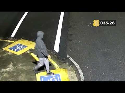 035. Sospechoso de Robo de Vehículo en Curridabat, San José.