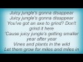 B-52's - Juicy Jungle Lyrics