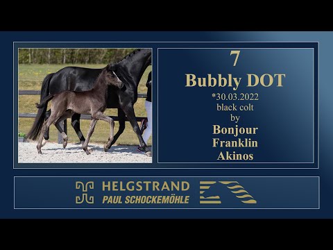 7 - Bubbly DOT by Bonjour/Franklin - Helgstrand-Schockemöhle Auction on June 4th 2022