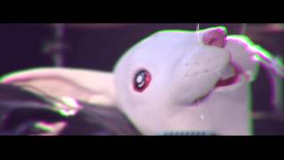 JACK JASELLI - CLOSER (VIDEO TEASER)