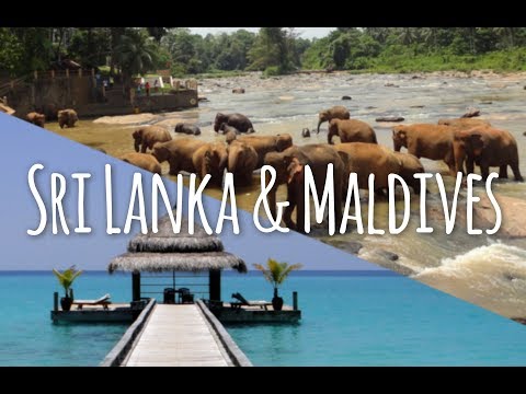 Sri Lanka and Maldives Honeymoon Destination Travel Video