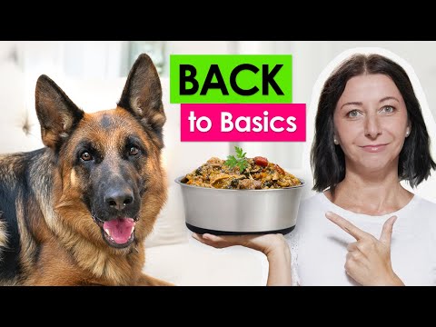 Classic Chicken and Rice Homemade Dog Food Recipe | Complete Nutrition