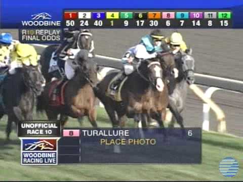 2011 Woodbine Mile Stakes - Turallure