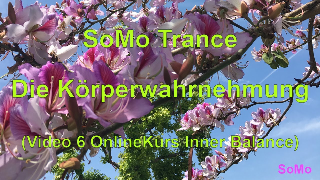 OnlineKurs Inner Balance | Video 6 | SoMo Trance Die Körperwahrnehmung
