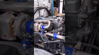 Download lagu cumi - cumi canter💨 mp3 Download lagu cumi - cumi canter💨 mp3