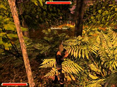 Gothic II : La Nuit des Corbeaux PC