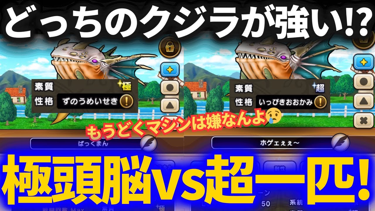 【ドラクエウォーク】微妙極といっぴき超、クジラはどっち使うべき？【なかまモンスター】【モンスターグランプリ】