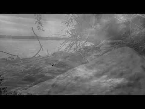 Thomas Blondet & Steven Rubin | Standby International