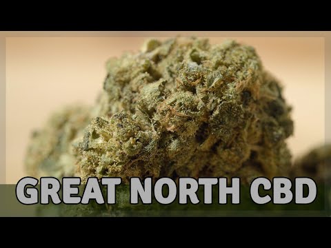 GREAT NORTH CBD - Hybrid - 16% Cannabidiol (CBD)