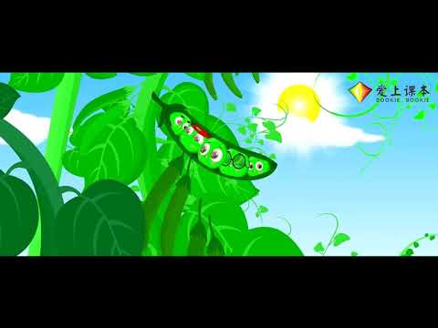 《植物妈妈有办法》小学语文二年级上册 课文动画 Китайский учебник анимации для начальной школы