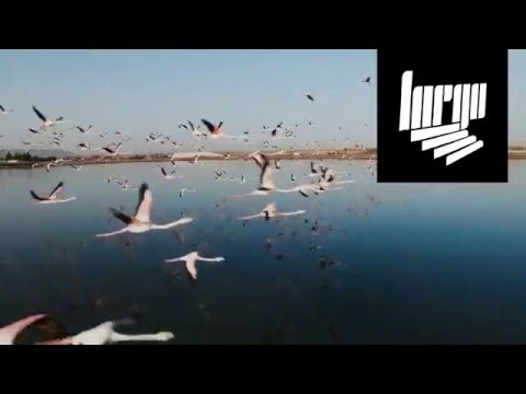 Ensemble Economique (US) / Motionno - Largo 2016 05 12 Kaunas