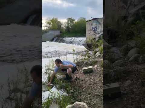 River Fishing (Bobber Down)