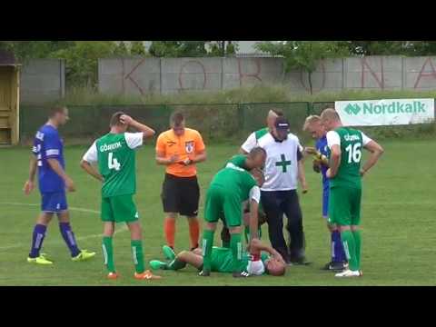 sokół rykoszyn - polanie pierzchnica