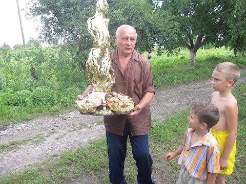 Чернов Николай Н.  Эксклюзивный резчик по дереву    №4