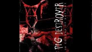Pig Destroyer - Unwitting Valentine