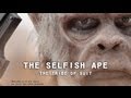 Documentary Nature - The Selfish Ape: The Tribe of the Suit