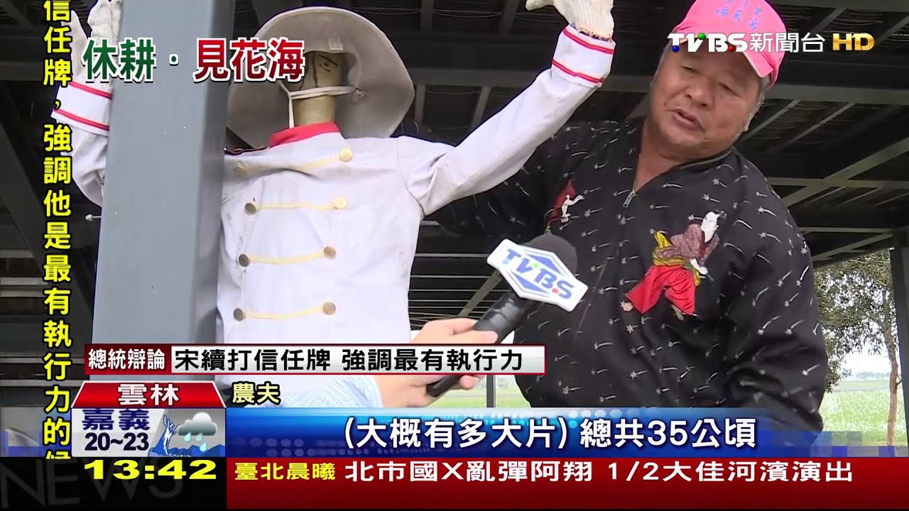 冬梅花不開　莿桐花海吸遊客提早賞