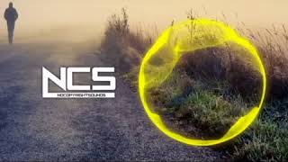 Little Donny and Little Leah’s Intro By:NCS