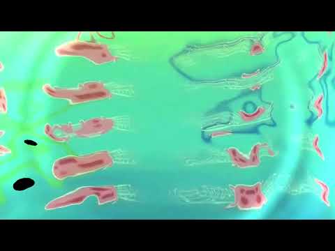 Dont Stop Shaking it!!!!   -  ill G music