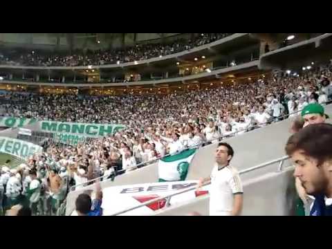 Allianz Parque caldeirão