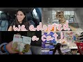 Vlog Adopting A Cat Cat Supply Haul Becoming A Family Of Four More
