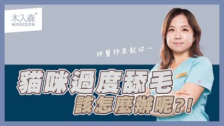 [問題] 貓過度理毛/快樂奇毛子問題