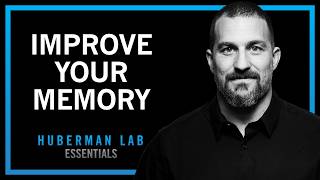 Huberman Lab Essentials