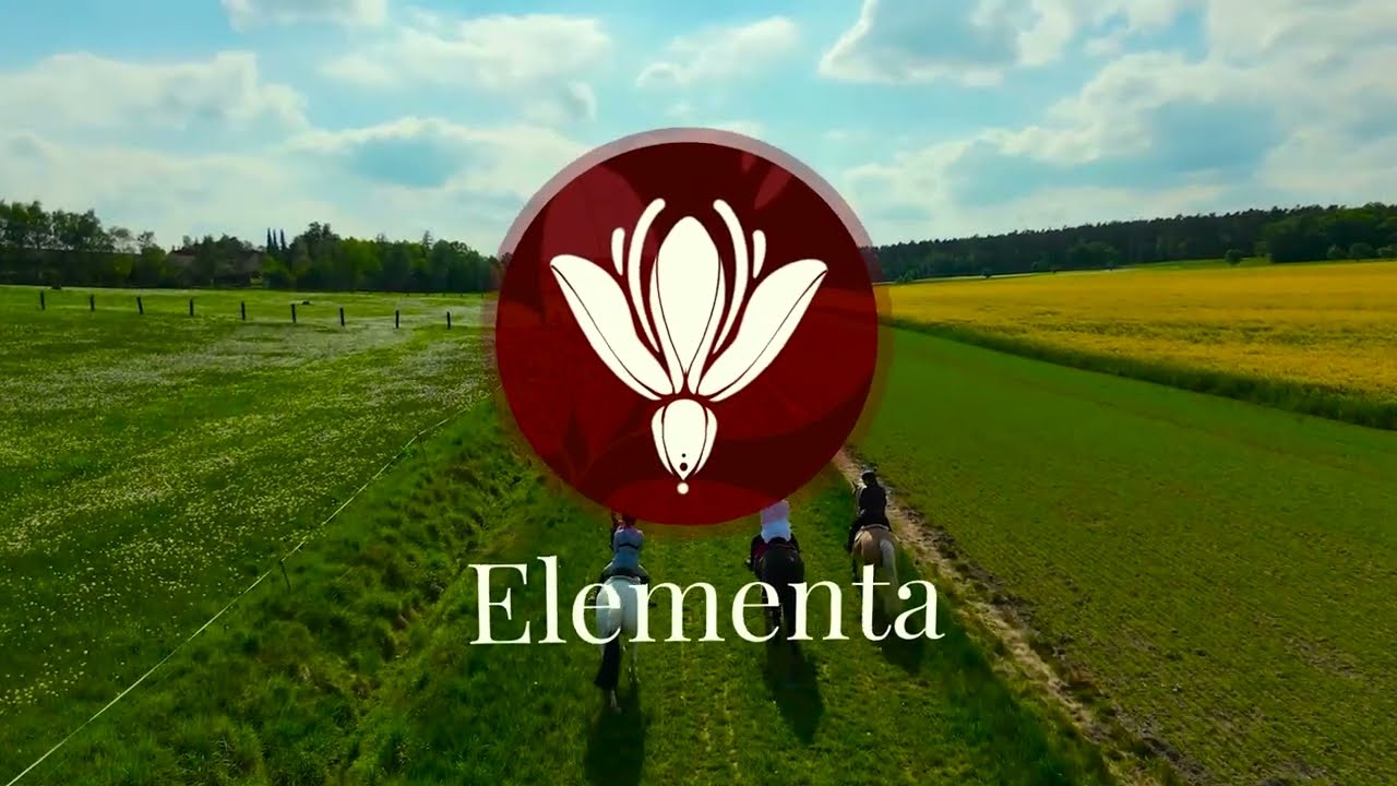 Elementa