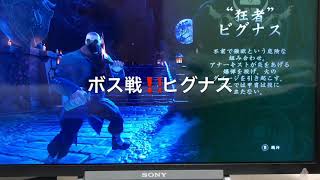 ボス戦！！ヒグナスhandsOF fates#3