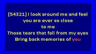 Cher  - I Go To Sleep (karaoke)