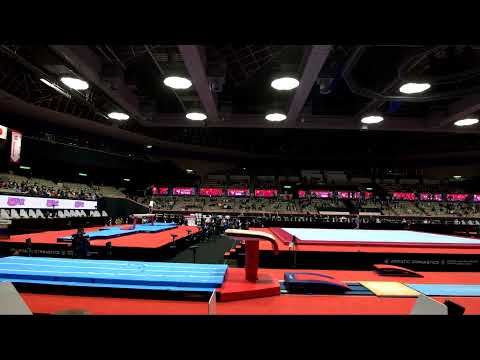 Mara Ceplinschi (ROU) 2021 Worlds AA VT