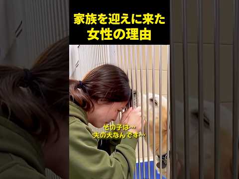 家族を迎えに来た女性の理由